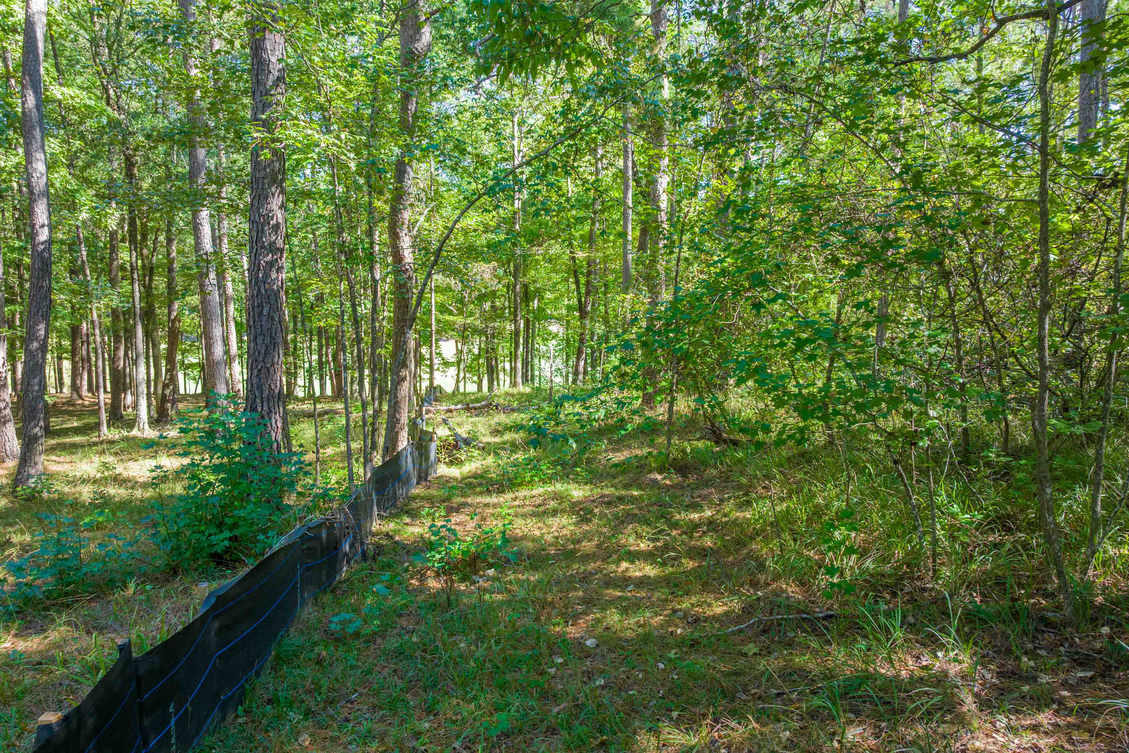 1200 Callahan's Ridge Road image 8